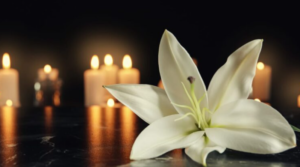 Gracie Felsenthal Tufts University Student Cause Of Death, Obituary: Remembered Following Reported Death in San Francisco, California